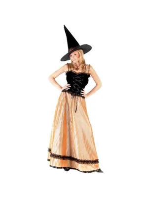 Adult Elegant Witch Costume