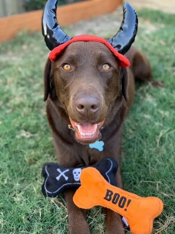 Devil Horns Dog Headpiece