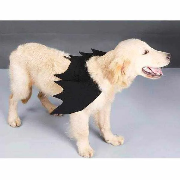 Dog Bat Wings Halloween Costume