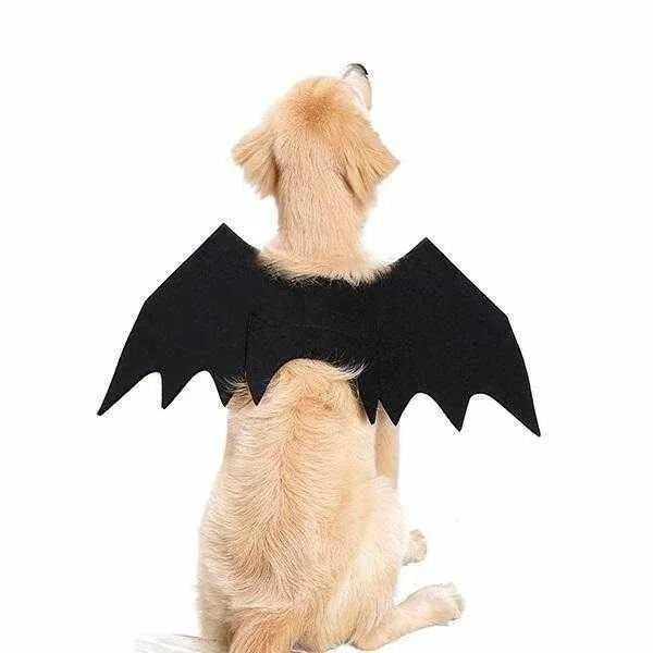 Dog Bat Wings Halloween Costume
