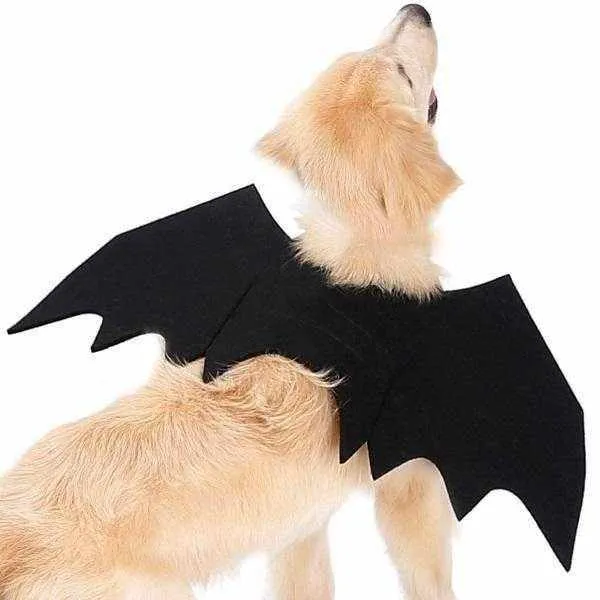 Dog Bat Wings Halloween Costume