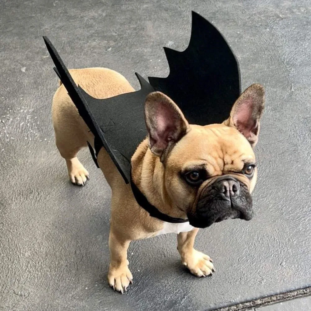 Dog Bat Wings Halloween Costume