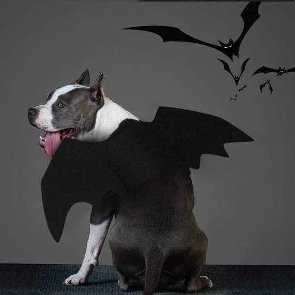 Dog Bat Wings Halloween Costume