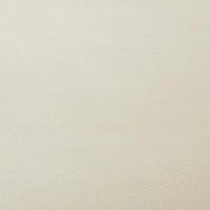 Ivory Dress Net