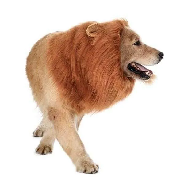 Lion Mane Dog Costume - Medium to Large Dogs